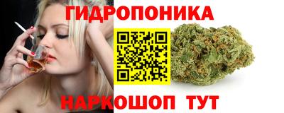 прущие грибы Можга
