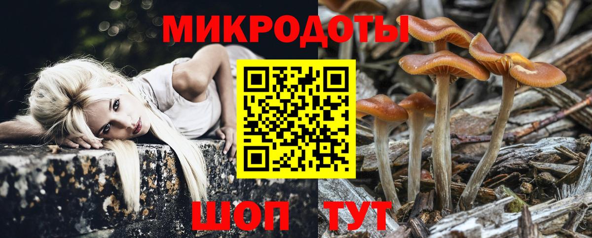 Галлюциногенные грибы мухоморы Шахты