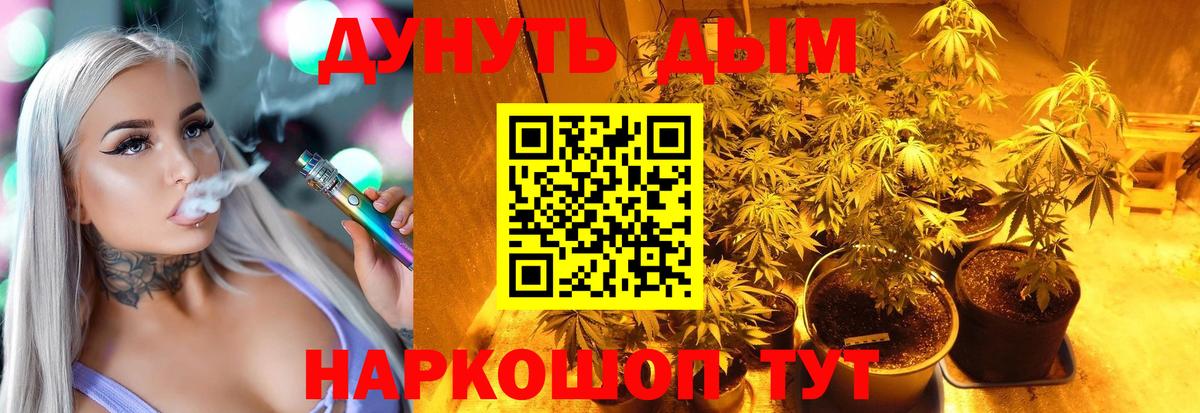 Канабис планчик Шахты